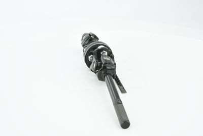 ARBORE DIRECTIE FEBEST ASSZGVSQ 38