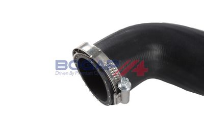 FURTUN EAR SUPRAALIMENTARE BOGAP V1711100 3
