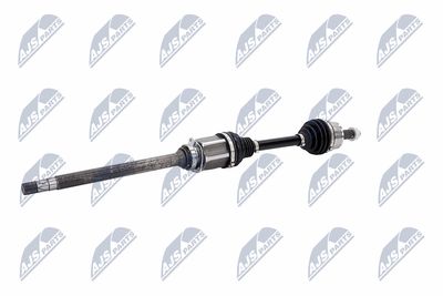 PLANETARA NTY NPWCH040 4