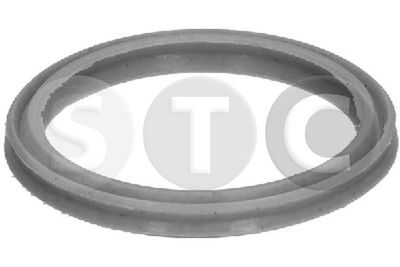 DICHTRING LADELUFTSCHLAUCH