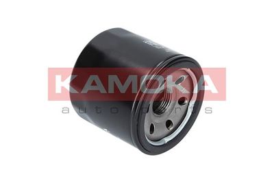 Oil Filter F107601