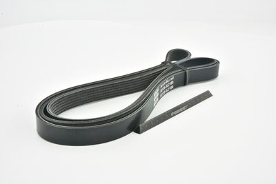 CUREA TRANSMISIE CU CANELURI FEBEST 881286L2100 45