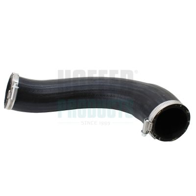 FURTUN EAR SUPRAALIMENTARE