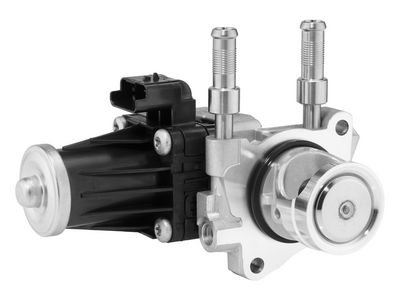 BorgWarner ERG vožtuvas