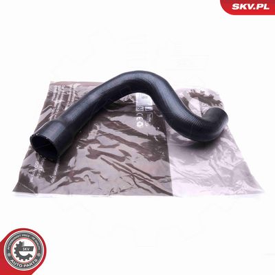 FURTUN EAR SUPRAALIMENTARE