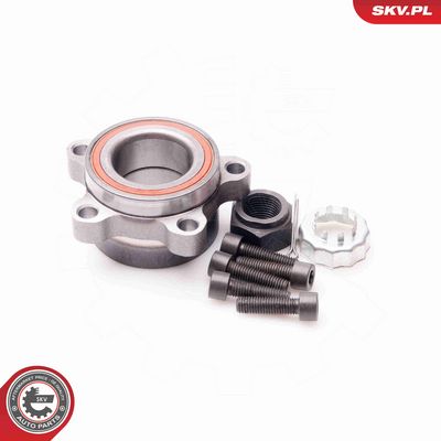 SET RULMENT ROATA ESEN SKV 29SKV047 1