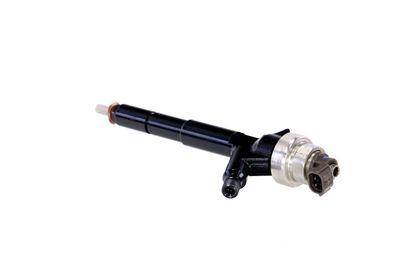 INJECTOR REMANTE 002003000192R 18