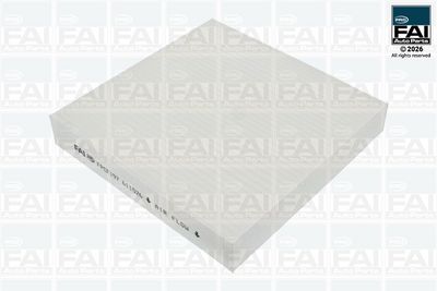 FAI AutoParts Filtras, salono oras