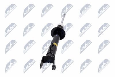 AMORTIZOR NTY ACH119 17