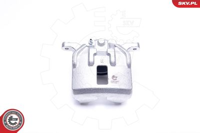 Brake Caliper 44SKV972