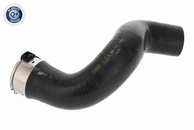 LADELUFTSCHLAUCH VAICO V461396 1