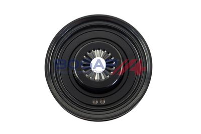 FULIE CUREA ARBORE COTIT BOGAP A1219102 2