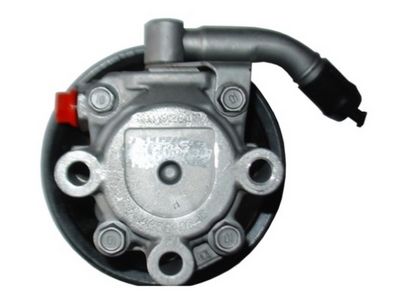 Hydraulische pomp, stuurbekrachtiging (gereviseerd)