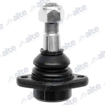 ARTICULATIE SARCINA/GHIDARE