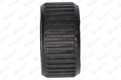 BUCSA ARBORE DE DIRECTIE BIRTH 4453 4