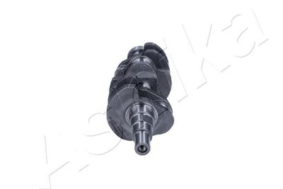 ARBORE COTIT ASHIKA 18DW000 2