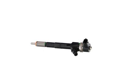 INJECTOR REMANTE 002003001085R 13