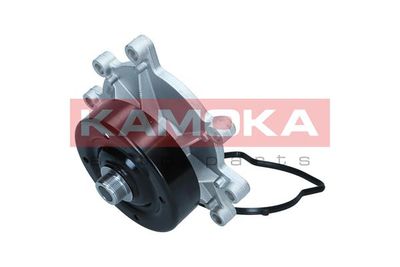 Water Pump, engine cooling T0319