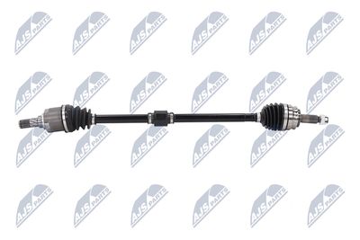 PLANETARA NTY NPWCH062 24