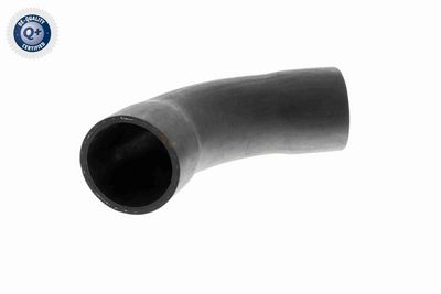 FURTUN EAR SUPRAALIMENTARE VAICO V201622 8