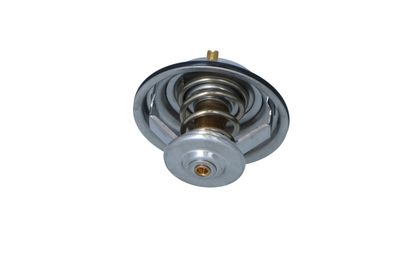 TERMOSTAT LICHID RACIRE NRF 725075 28