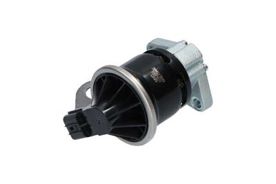 SUPAPA EGR Kavo Parts EEG2003 13