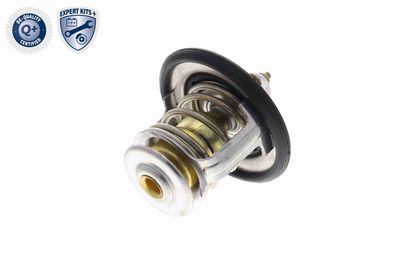 TERMOSTAT LICHID RACIRE ACKOJA A38990006 9