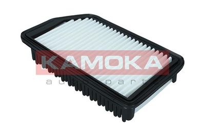 Air Filter F246901