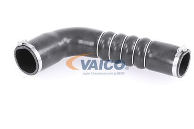 FURTUN EAR SUPRAALIMENTARE VAICO V103794 15
