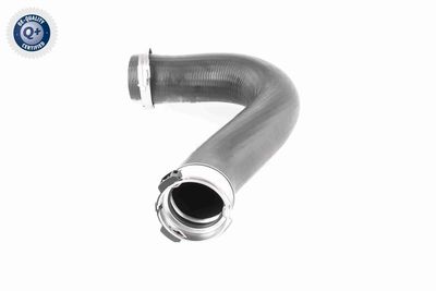 LADELUFTSCHLAUCH VAICO V103782 3