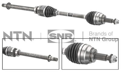 PLANETARA SNR DK55293