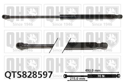 QUINTON HAZELL QTS828597 Амортизатор багажника и капота для AUDI A4 B9 (8W2, 8WC)