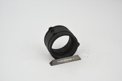 FURTUN EAR SUPRAALIMENTARE FEBEST 23450002 49