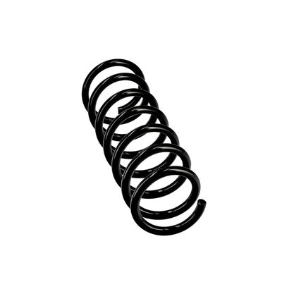 ARC SPIRAL EIBACH R10931 24