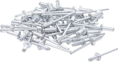 SORTIMENT BLINDNIET BGS 75848