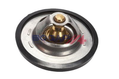 TERMOSTAT LICHID RACIRE