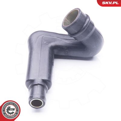 Žarna, karterio alsuoklis