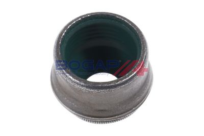 ETANSARE SUPAPE BOGAP A1343100 4