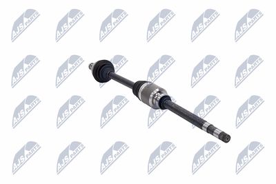 PLANETARA NTY NPWCT181 30