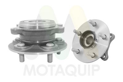 SET RULMENT ROATA MOTAQUIP LVBW1897