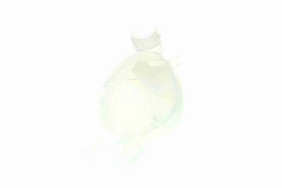 AUSGLEICHSBEHäLTER KüHLMITTEL VAICO V420436 1