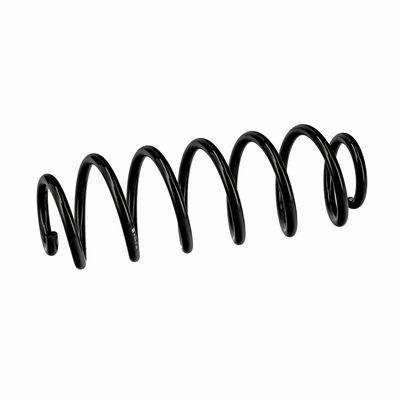 ARC SPIRAL EIBACH R10413 6