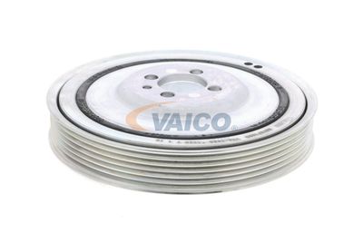 SET FULIE ARBORE COTIT VAICO V240865 22