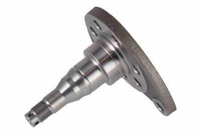 ACHSZAPFEN ACHSKöRPER