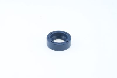 Dichtring