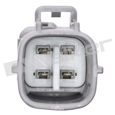 LAMBDASONDE WALKER PRODUCTS 35064094 2