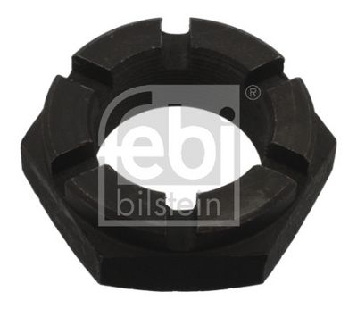 PIULITA CRENELATA FEBI BILSTEIN 35962