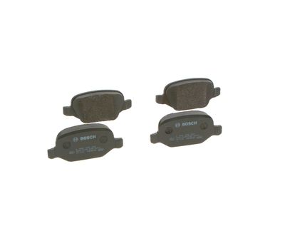 SET PLACUTE FRANA FRANA DISC BOSCH 0986495291 18