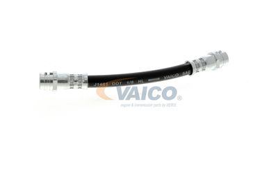 FURTUN FRANA VAICO V104114 23