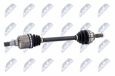 PLANETARA NTY NPWCT008 5